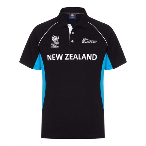 Official icc champions trophy - champions,